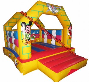 nha-hoi-mini-mn-060a